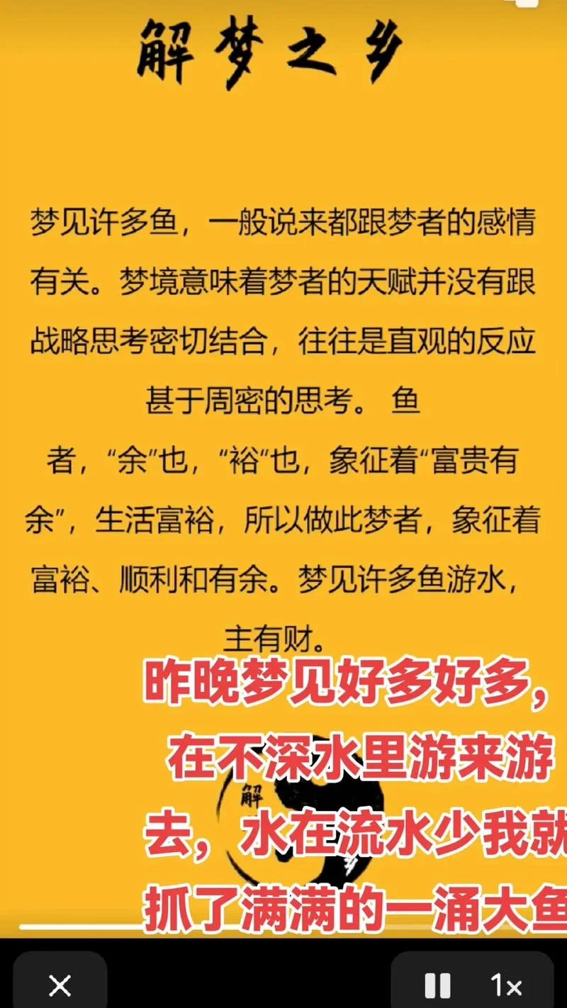 梦见买鱼回来什么意思_1
