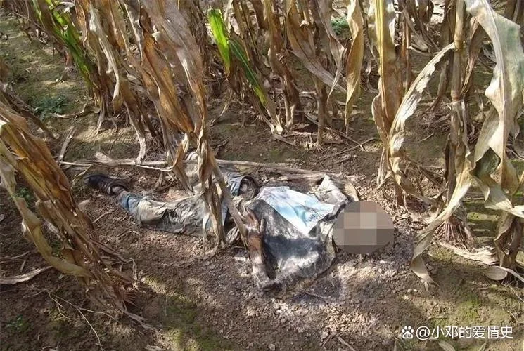 梦见最讨厌的人死了_1