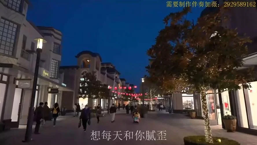 你的月亮我的心 下一句_1