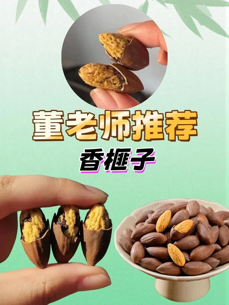香榧价格哪一年最贵-香榧价格最高年份