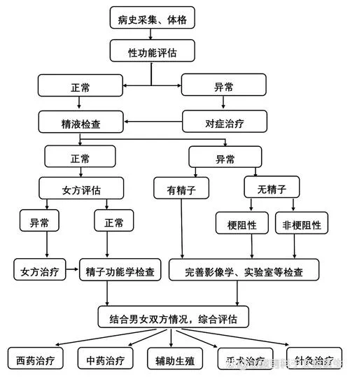 男人不孕不育治疗多少钱_1