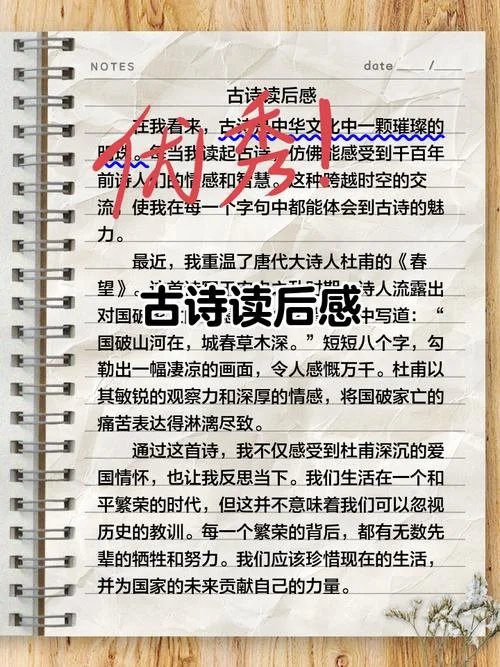 中华文化读后感-中华文化读后感