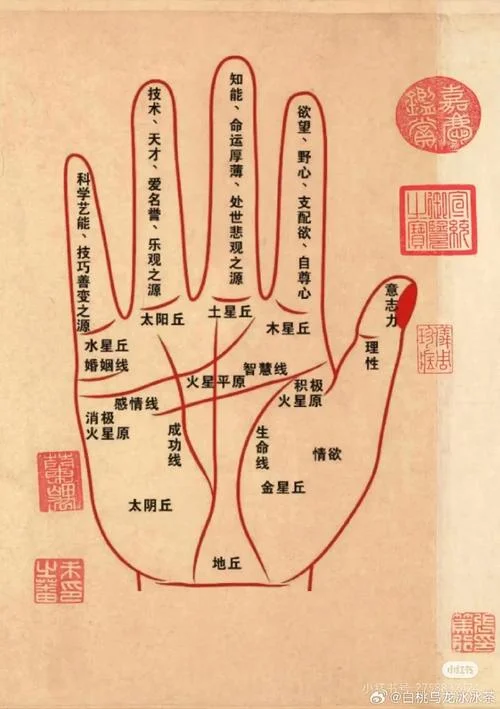 看手相男生看左手_1