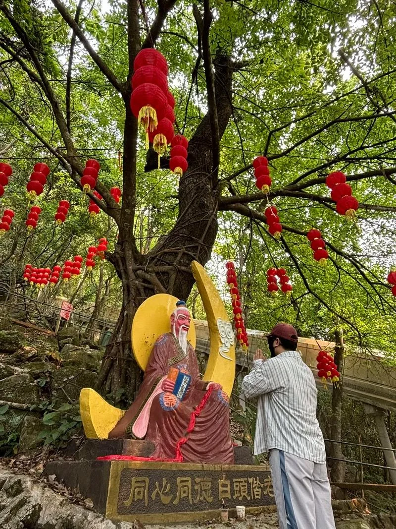 免费算命姻缘树_1