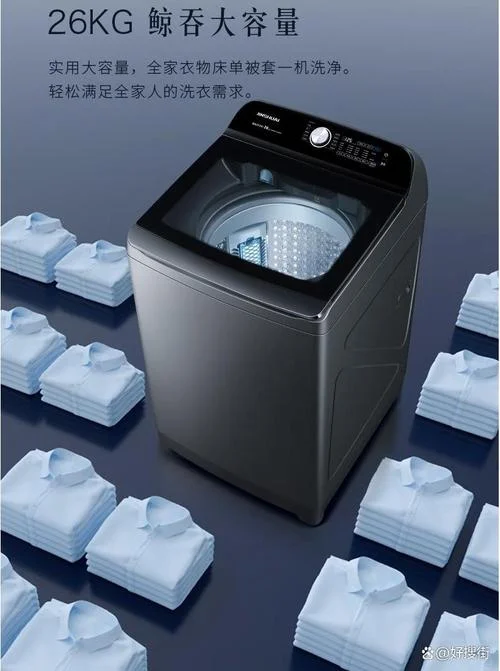 大型洗衣机什么品牌_2