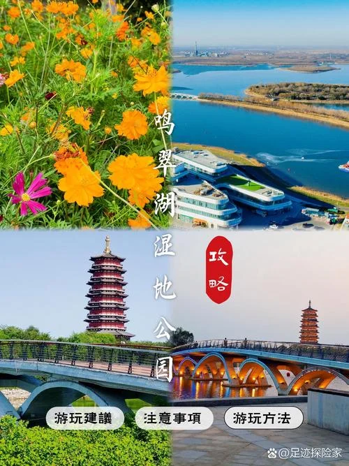 翠湖湿地公园简介_2