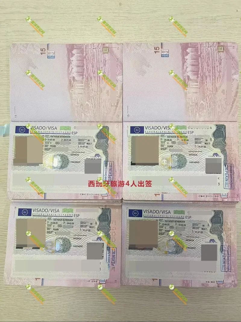西班牙留学签证-西班牙留学签证