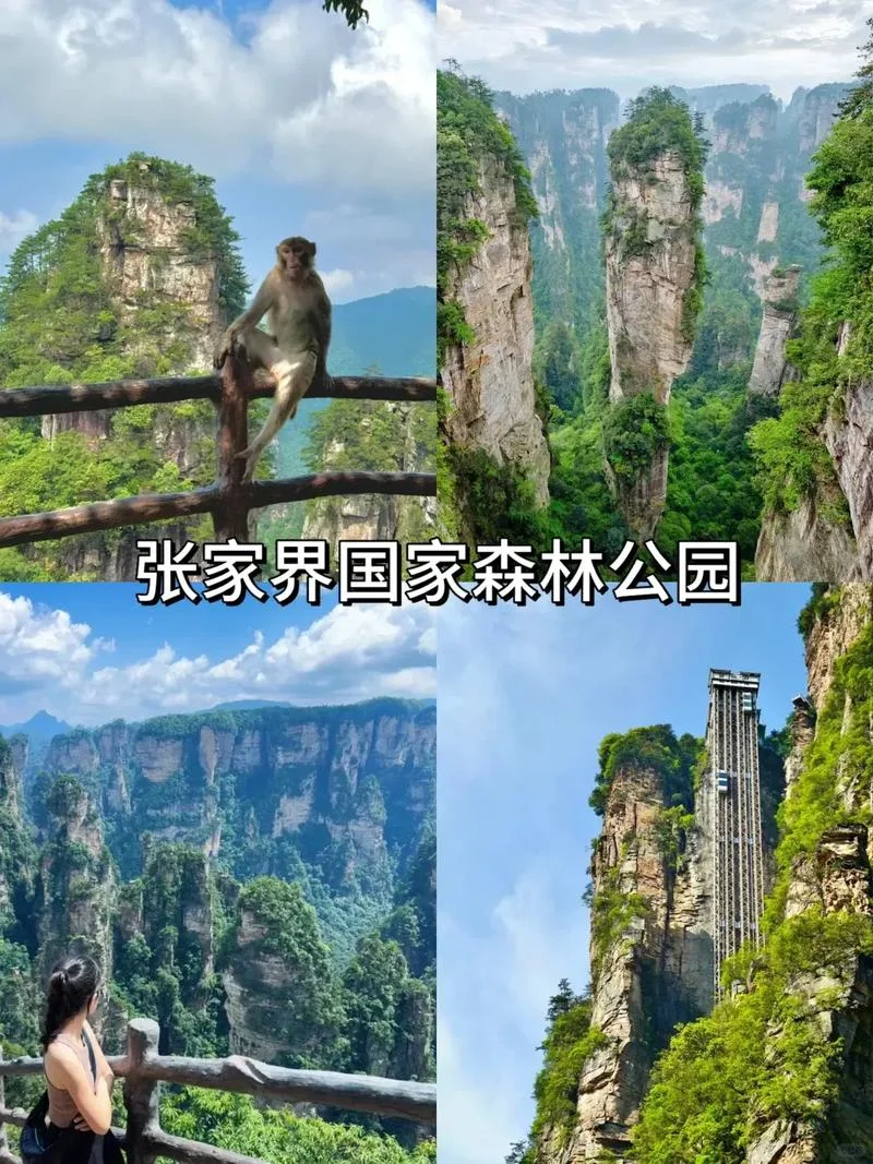 几月去张家界旅游好玩_1