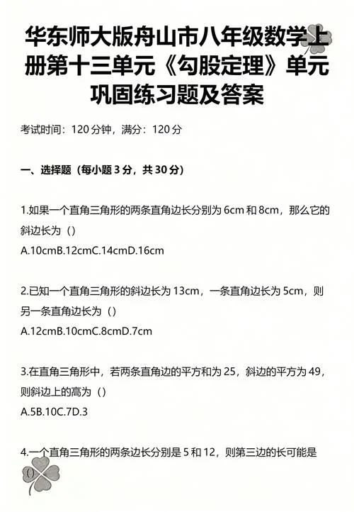 勾股定理习题讲解_2