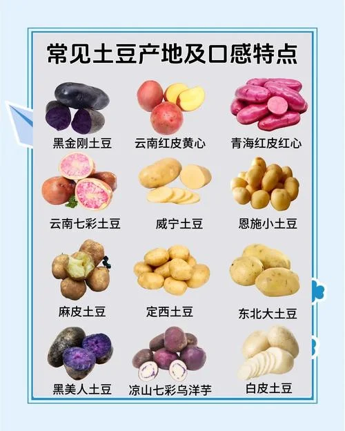 北方几月份种土豆-北方几月种土豆