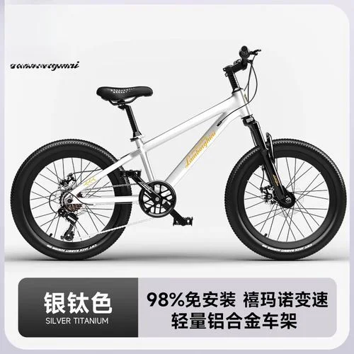 兰博基尼自行车多少钱_2