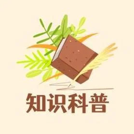什么是做-什么是做