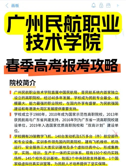 飞行员报考条件和学历-飞行员报考学历条件