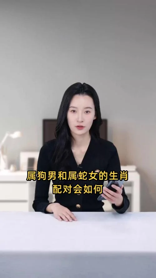 梦见蛇和狗的关系_1