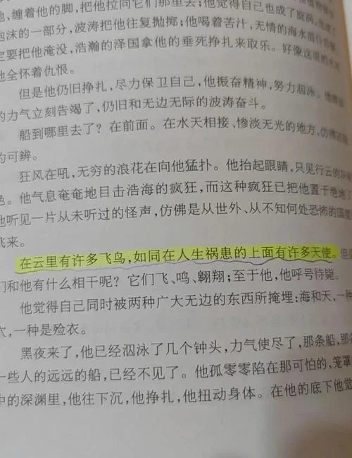 悲惨世界读后感1500-悲惨世界读后感