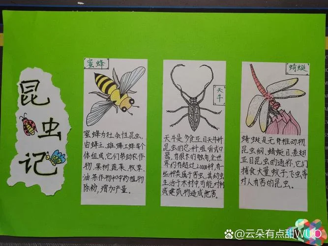 昆虫记的简介100字-法布尔昆虫观察实录