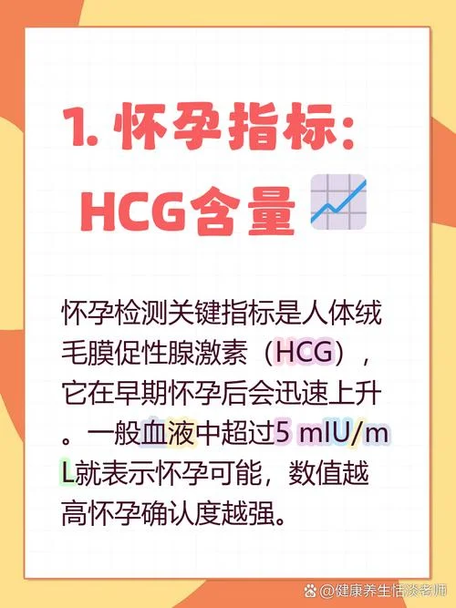 怀孕查血是查什么项目_2