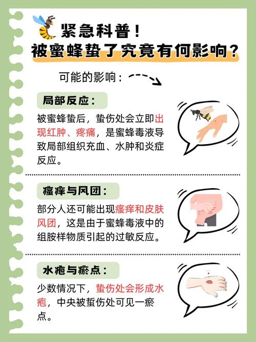 梦见蜂蛰我是什么意思_2
