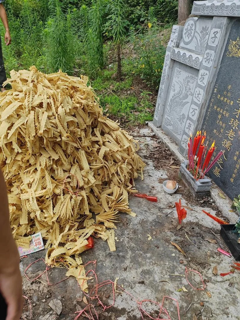 梦见自己在烧纸的灰堆_1