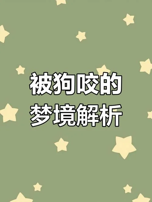 梦见有狗追着要咬我_1