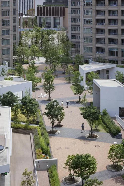 日本大学景观专业-日本大学景观专业