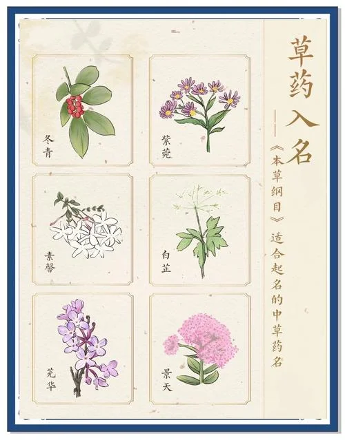 本草纲目是谁写的-李时珍著《本草纲目》