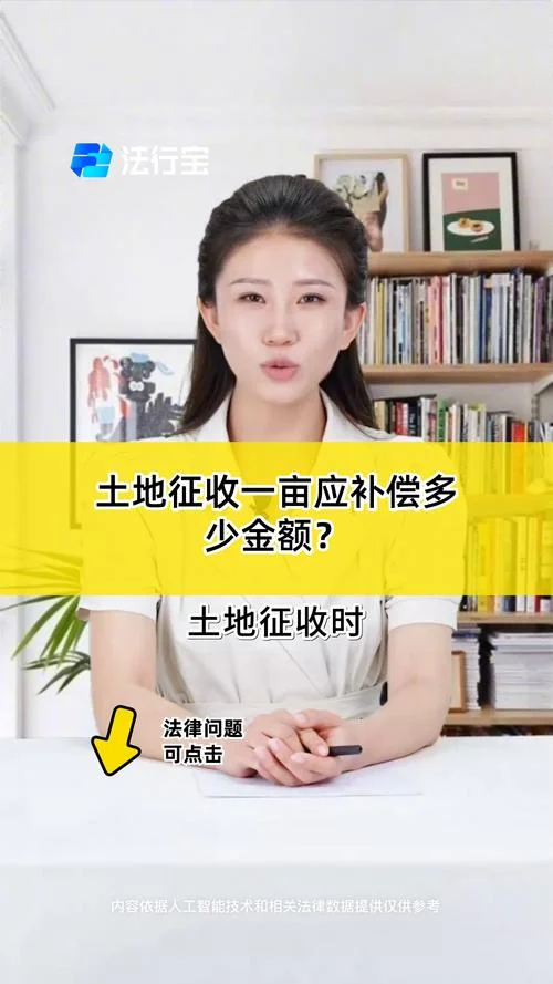 农村土地一亩多少平方_2