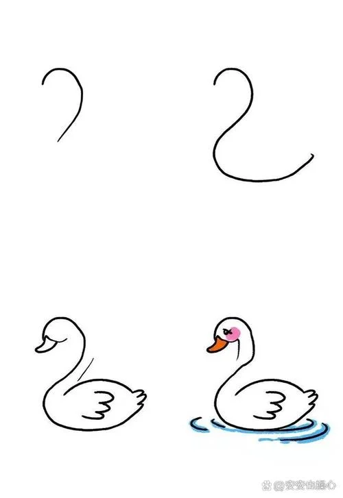 一对天鹅简笔画步骤_2