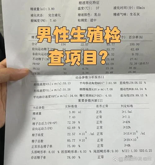 男性孕前检查_1