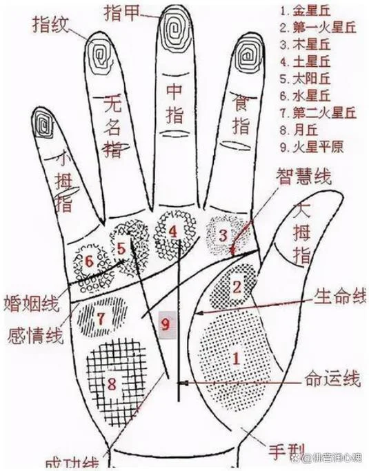 手相上的纹路怎么看_2