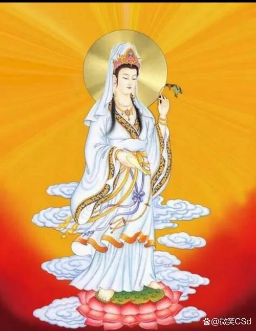 梦到观世音菩萨冲我笑-观音菩萨对我笑