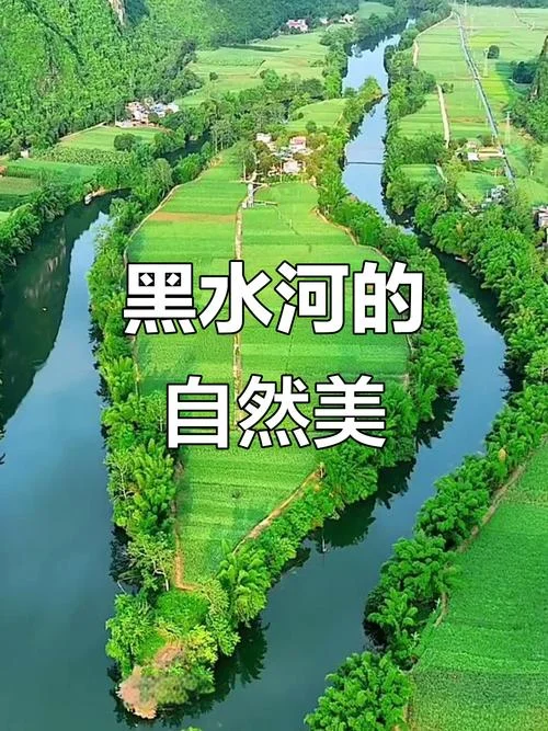 梦到黑水_2