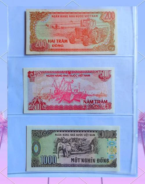越南钱是哪个国家印的-越南钱由越南国家银行印制