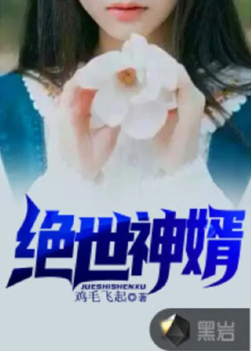 小说神婿大结局_1