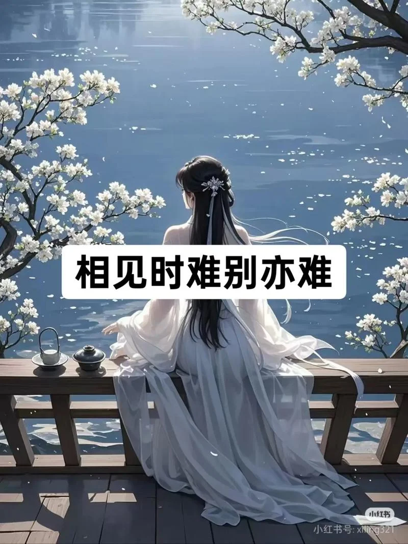 别时容易见时难上一句_1