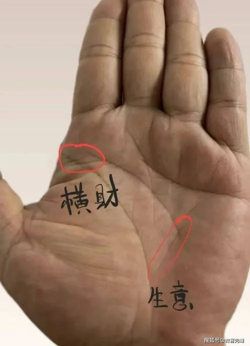 男人什么手相好_1