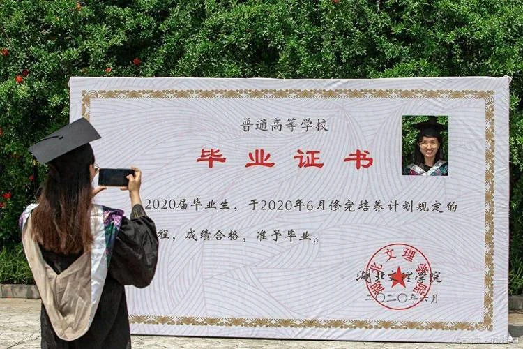 中专学历证书查询官网_1