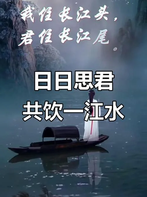 君住长江尾的上一句_1
