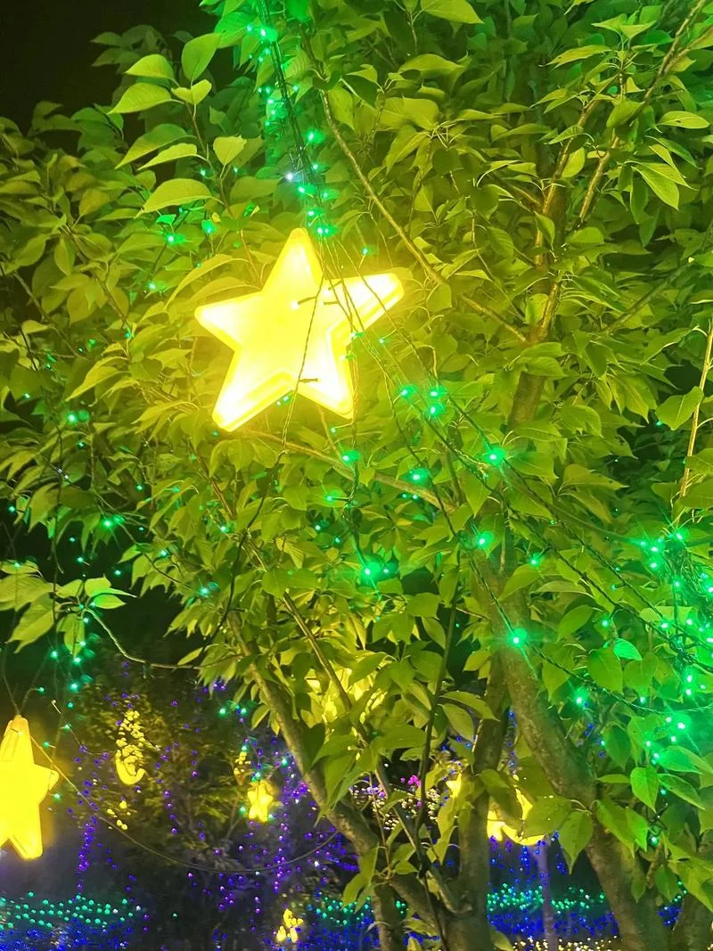 梦见一树彩灯闪亮_1