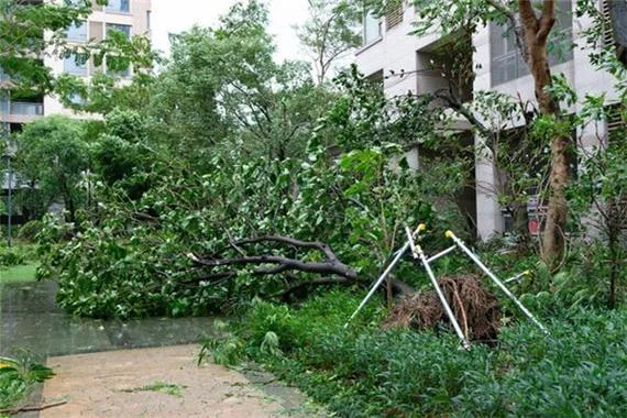 梦见门倒了_1