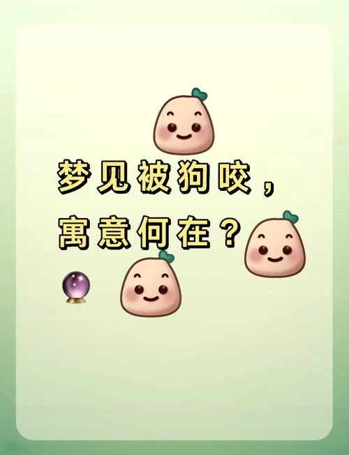 梦到狗咬我臀部-梦狗咬臀 10 字