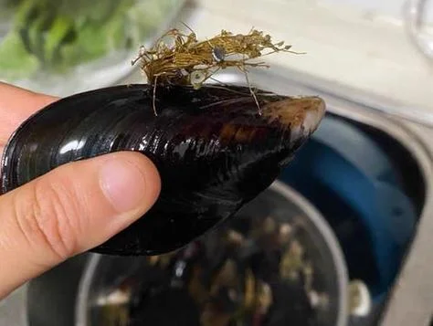 梦见摘茄子都掉皮-摘茄子掉皮梦