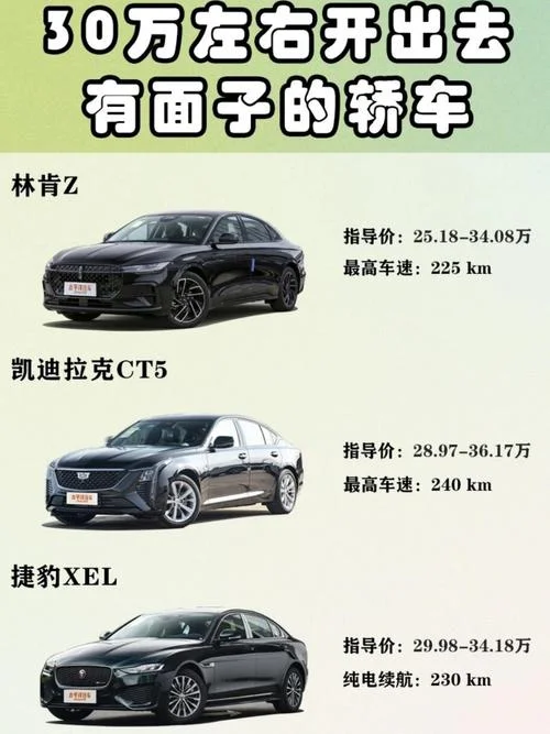 月入30万买什么车-月入 30 万买哪款车
