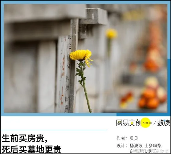 梦见给活着的人买墓地_1
