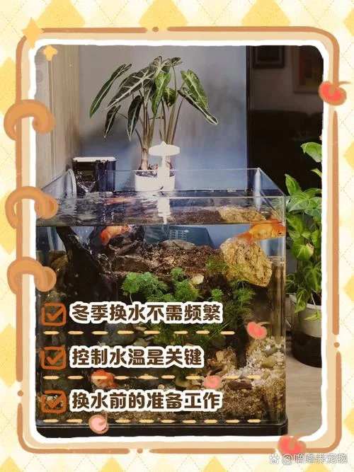 梦到给鱼缸换水_1
