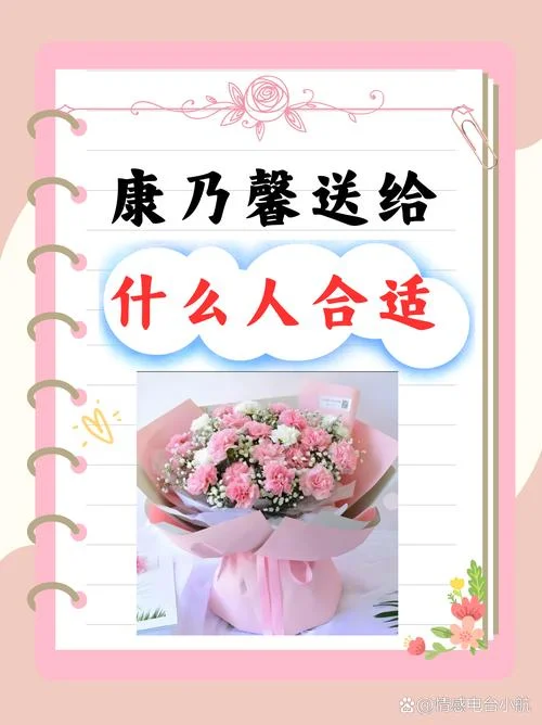 病人应该送什么花康乃馨_1