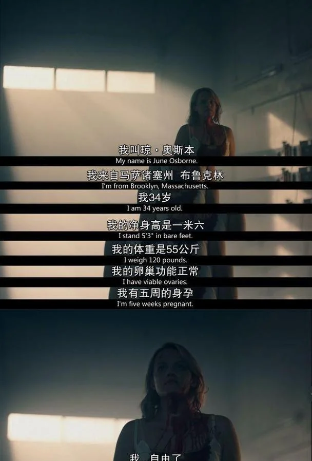 使女的故事剧情解析-女奴故事剧情解析
