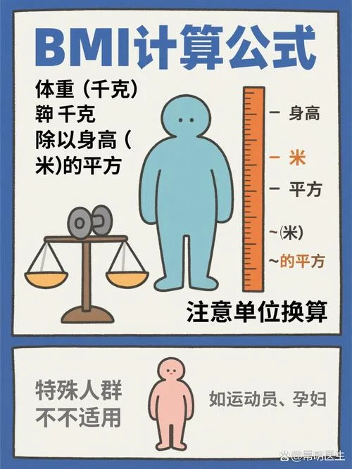 bmi计算公式器_1