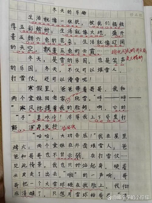 写打雪仗作文300字_2