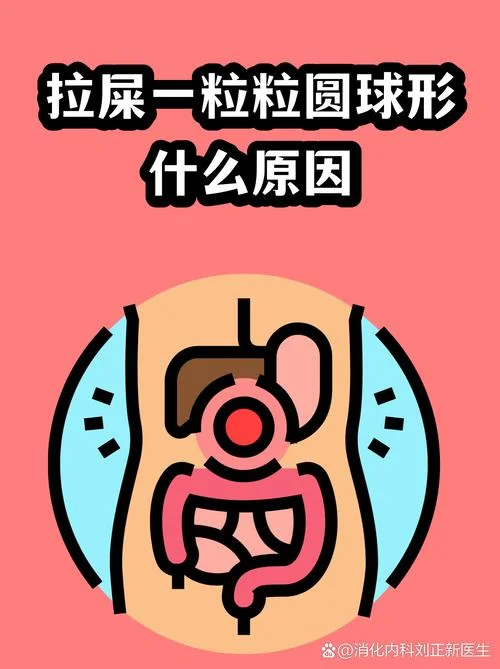 梦到厕所有大便_1